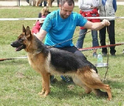 Roccapina - Albertville le 29 JUILLET 2012