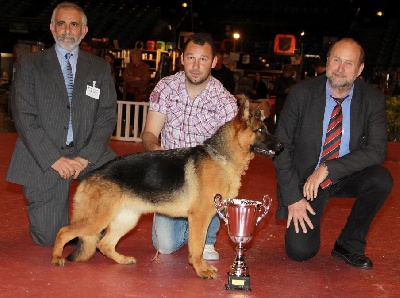 Roccapina - BEST  IN  SHOW  !!!!!!  INCROYABLE 
