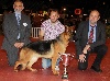  - BEST  IN  SHOW  !!!!!!  INCROYABLE 