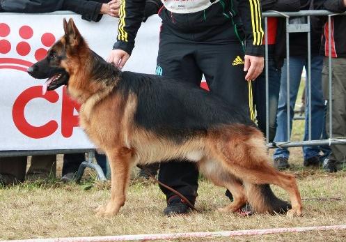 Roccapina Farouk