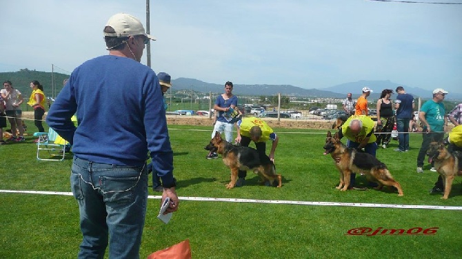Roccapina - Exposition de Tordera (Espagne)