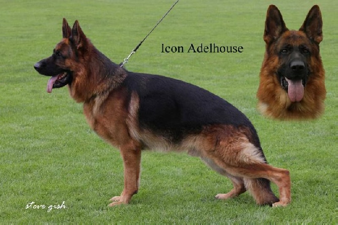 Roccapina - Saillie de Gina par Icon