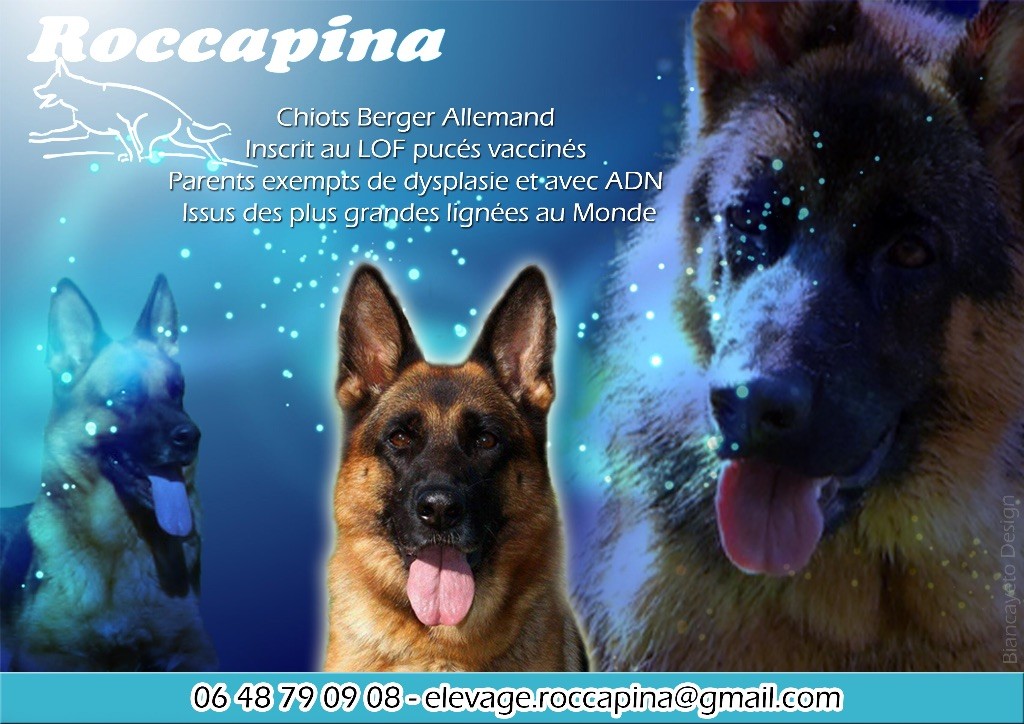 Roccapina - Championnat De France 2017 à Nantes