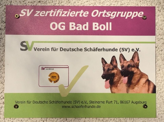 Roccapina - Exposition du 04/06 à Bad Boll (Allemagne)