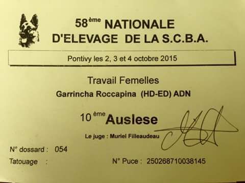 Roccapina - Résultats Nationale D?élèvage