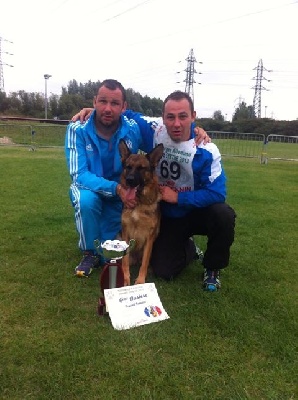 Roccapina - Fauve 6eme Auslessssssseeee