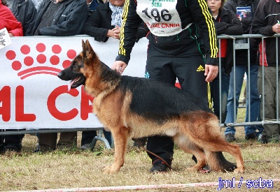 Roccapina - CHAMPIONNAT DE FRANCE